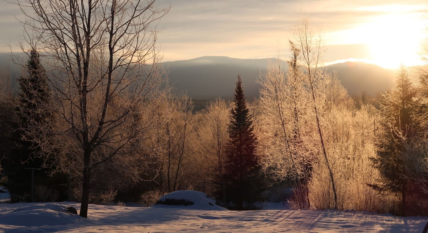 The sun setting behind the distant hills in the winter with bare trees, pine trees and snow-covered ground in the foreground