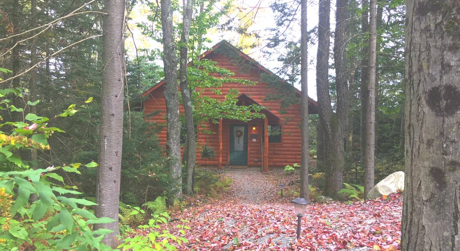 Rustic wood cabin with gable roof surrounded by tall trees and fallen leaves on the ground