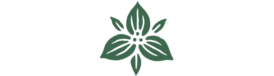 Green floral icon featuring leaves arranged in a symmetrical design.