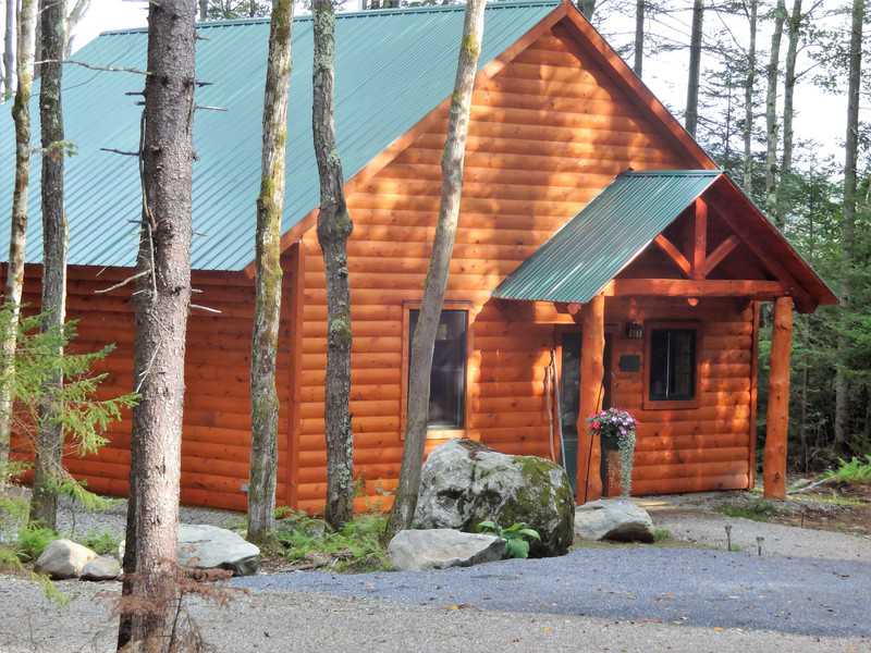 A warm, sunlit timber-frame cabin with a green metal roof and golden wood siding, surrounded by tall pine trees in a peaceful forest setting at Robert Frost Mountain Cabins.