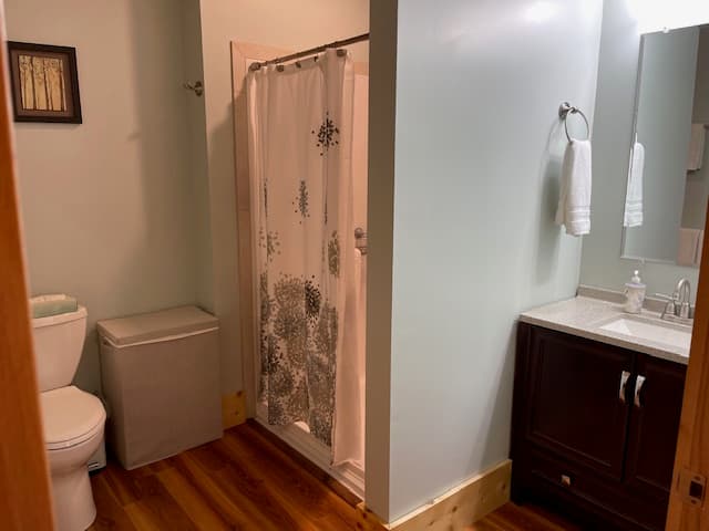 A modern bathroom featuring a shower with a curtain, a toilet, a vanity with a sink, and wooden flooring.