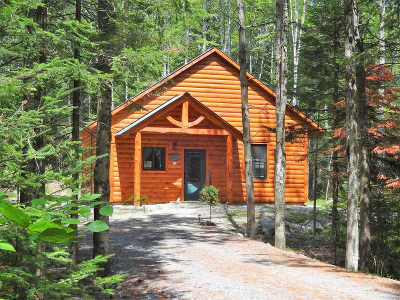 A rustic wood-sided cabin with a peaked roof and a timber-frame porch entryway. The cabin's orange-toned wood contrasts with the lush green foliage of the surrounding dense forest in a bright summer scene.