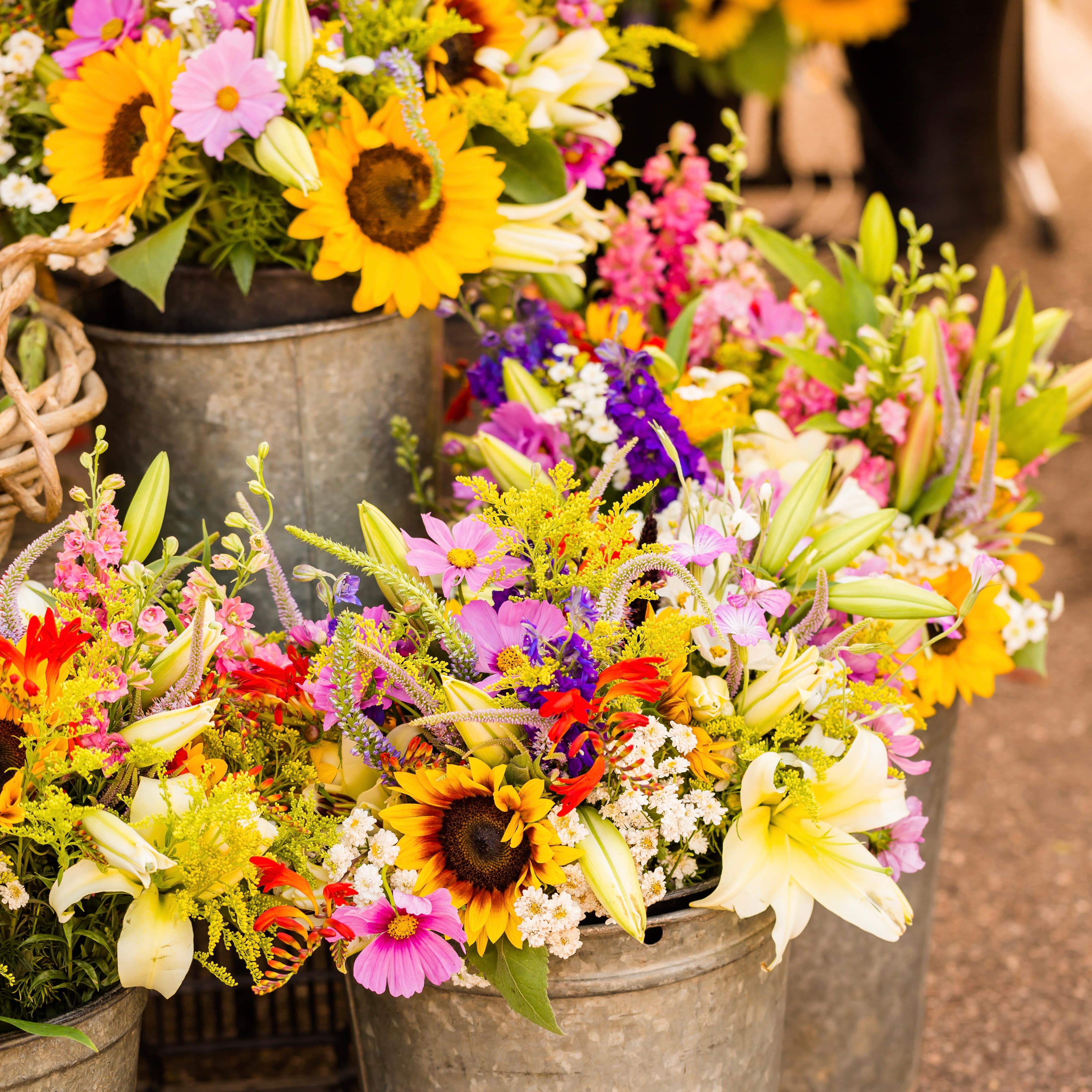 A collection of vibrant flower bouquets in metal buckets.