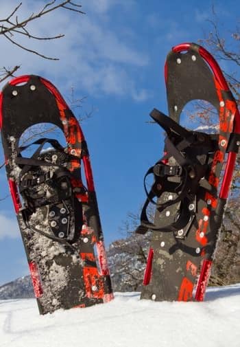 A red and black pair of snow shoes sticking out of the snow covered ground amidst blue skies