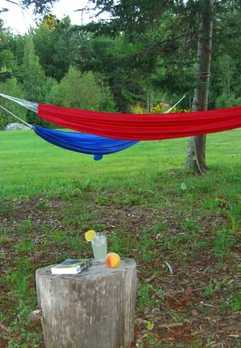 Red and blue hammocks tied to trees surrounded by green grass and trees, tree stump topped with lemonade, a peach and book