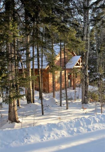 Log cabin with snow covered gable roof surrounded by pine trees and snow covered ground