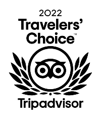 Travelers' Choice Badge